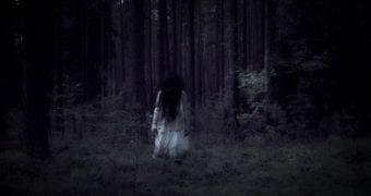 Who put Bella in the Wych Elm?