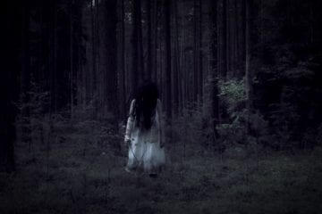 Who put Bella in the Wych Elm?