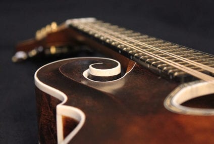 The little “cousin” of the guitar in Rock music…