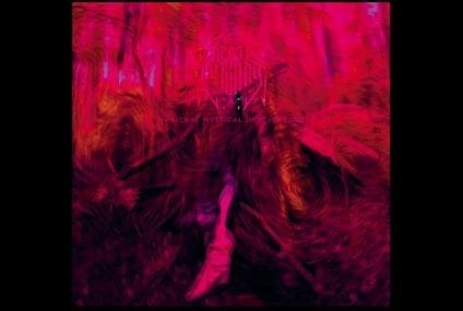 Rebel Wizard – Magickal Mystical Indifference