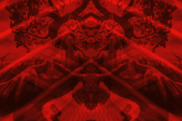 A Cosmos Tree as the beginning of a new melodic era… A Cosmos Tree as the beginning of a new melodic era…