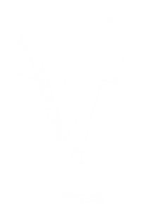 New Logo Complete Invert Clean