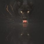 Panther