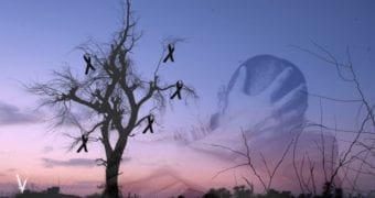 A hopeless imposition of power… on ourselves