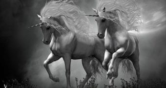 A wonderful fairytale creature…