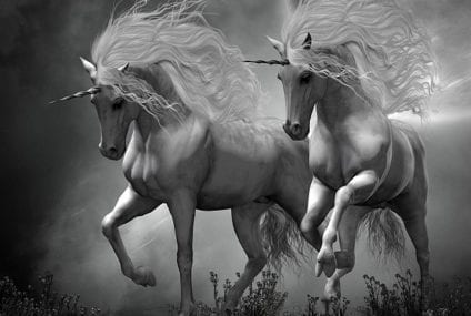 A wonderful fairytale creature…