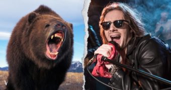 Rock N Roll VS Bears