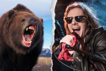 Rock N Roll VS Bears