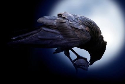 All it takes is, sometimes, to spread your “Wings”