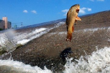 Η αποτυχία είναι η αρχή της… επιτυχίας