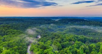 International Day of Forests