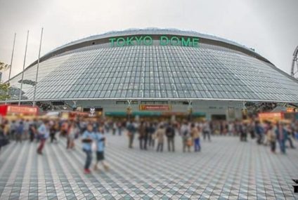 The “Big Egg” of Japan