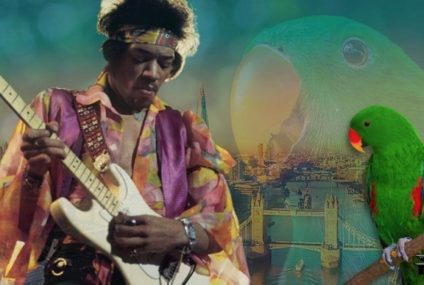 Breaking Down Rock Fables (II)…