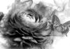 Transition, Mutation, Denaturation… Renaissance