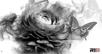 Transition, Mutation, Denaturation… Renaissance