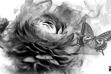 Transition, Mutation, Denaturation… Renaissance